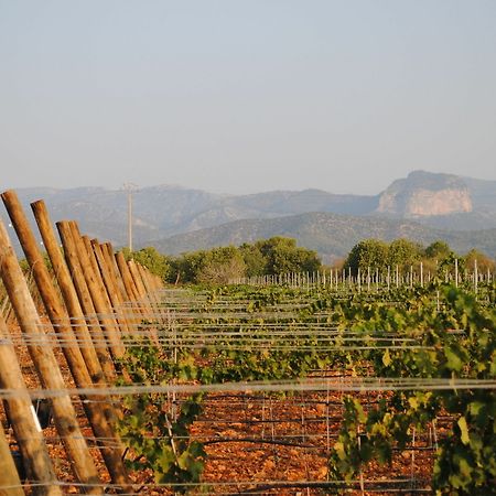 Weingut & Landhotel Can Davero บินิสซาเล็ม ภายนอก รูปภาพ