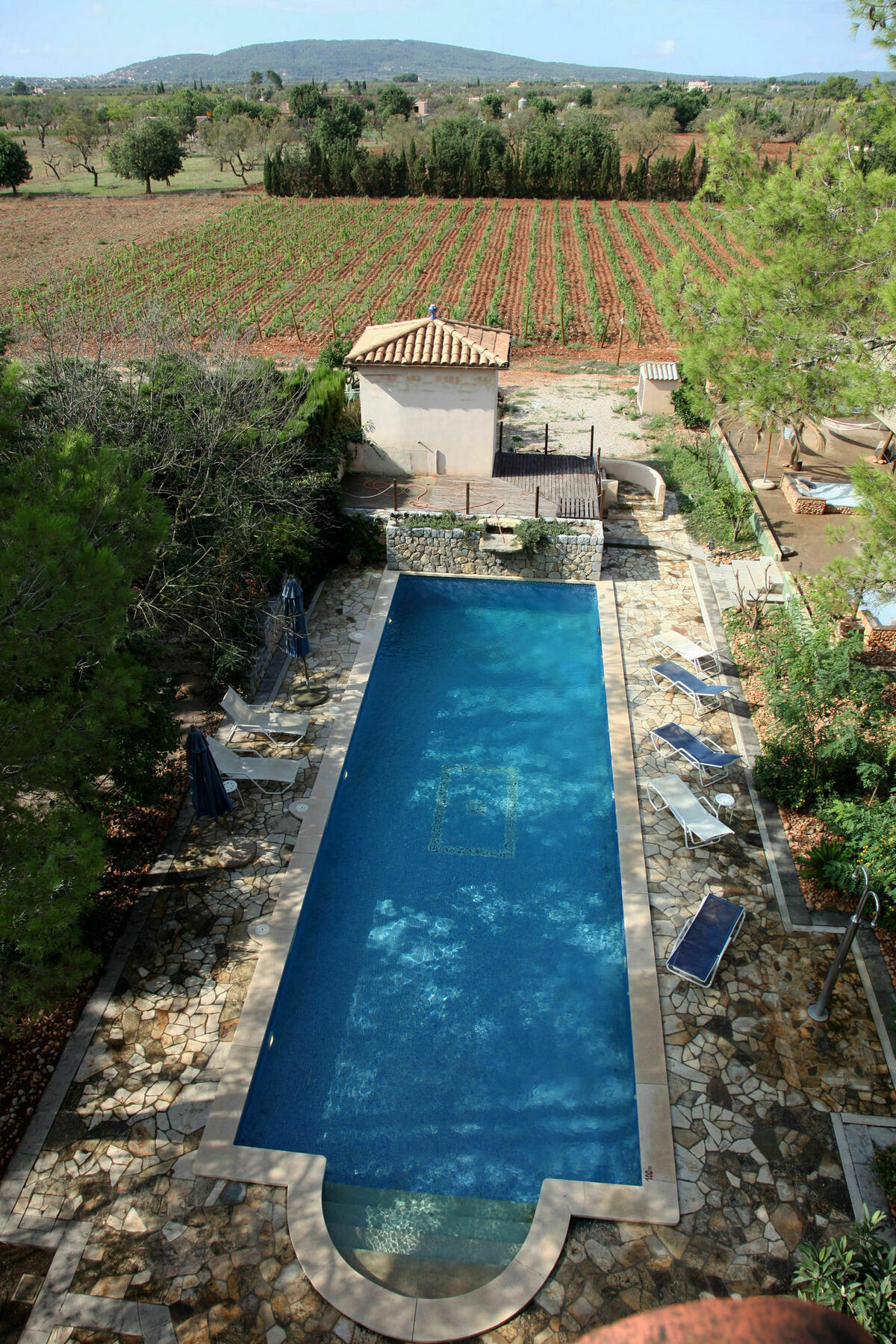 Weingut & Landhotel Can Davero บินิสซาเล็ม ภายนอก รูปภาพ