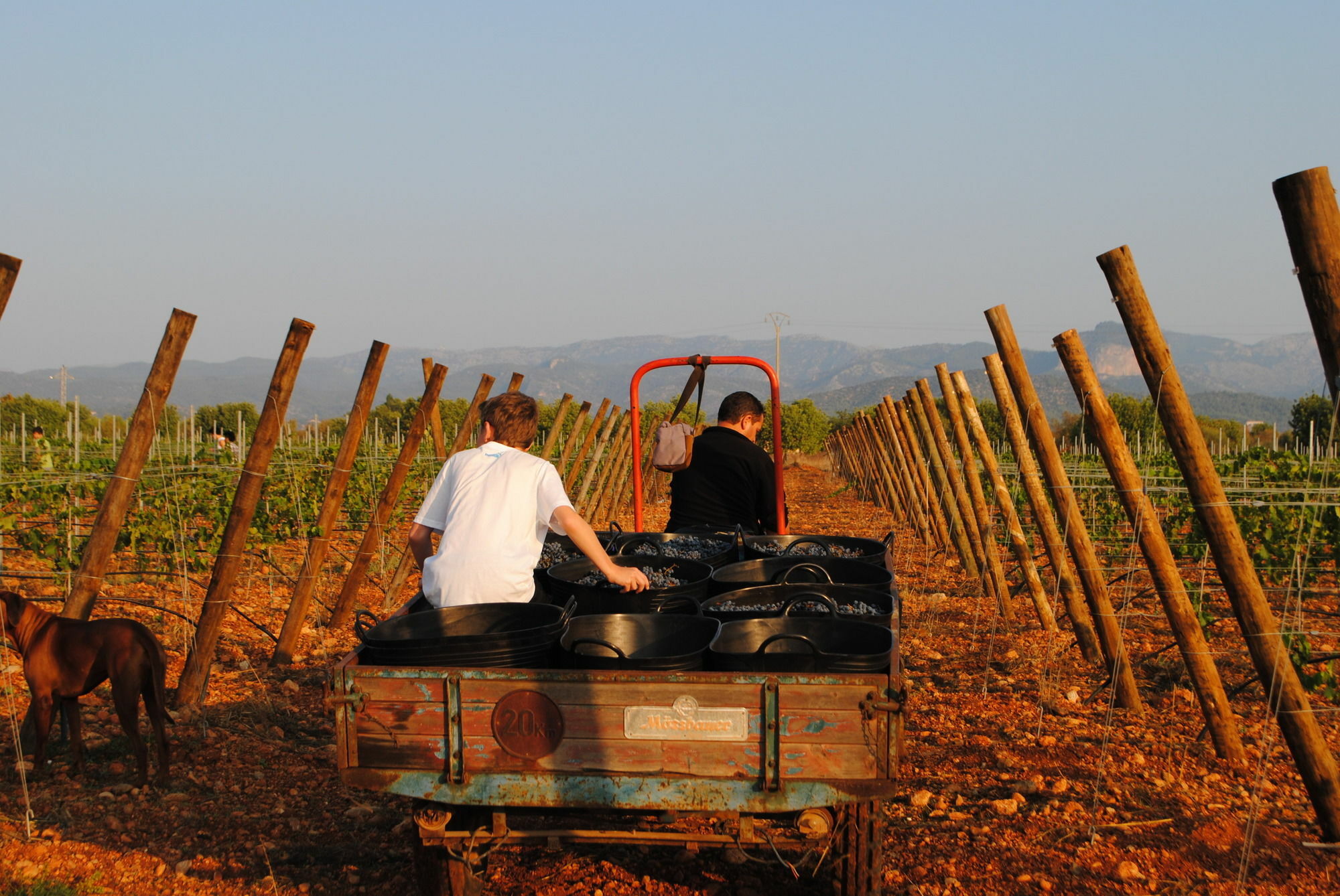 Weingut & Landhotel Can Davero บินิสซาเล็ม ภายนอก รูปภาพ
