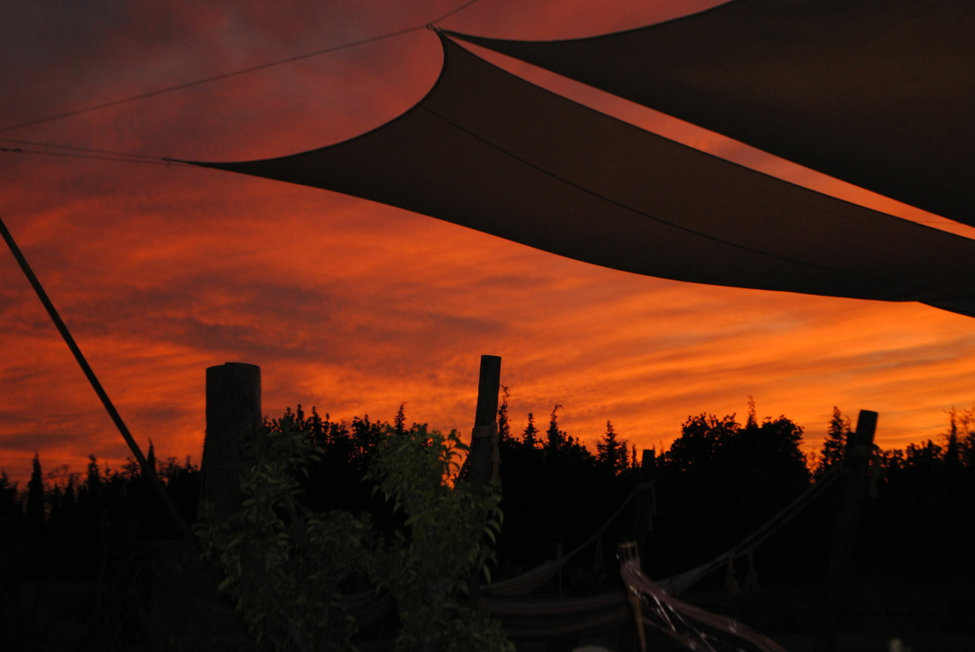 Weingut & Landhotel Can Davero บินิสซาเล็ม ภายนอก รูปภาพ